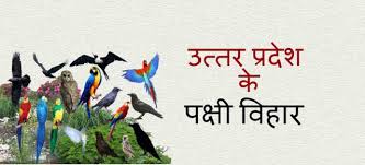 Bird Sanctuaries in Uttar Pradesh